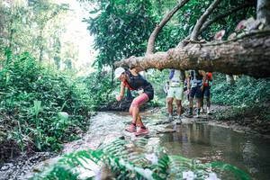 BIB: 
                            <button type="button" onclick="openModal(25443126)" class="btn btn-primary btn-sm float-right btn-popup" data-toggle="modal" data-target=".modal-high-quality">
                        <i class="fas fa-shopping-cart"></i> Add to Cart
                    </button>
                                            <button type="button" onclick="isThisMe(25443126, true)" class="btn btn-success btn-sm float-right btn-popup btn-isme hidden" data-toggle="tooltip" data-placement="bottom" title="นี่คือรูปของคุณใช่ไหม คลิกที่นี่เพื่อเอาเข้าอัลบั้ม">
                        <i class="fas fa-plus"></i> Add to album
                    </button>
                    <button type="button" onclick="isThisMe(25443126, false)" class="btn btn-warning btn-sm float-right btn-popup btn-isnotme hidden">
                        <i class="fas fa-ban"></i> Remove from album
                    </button>